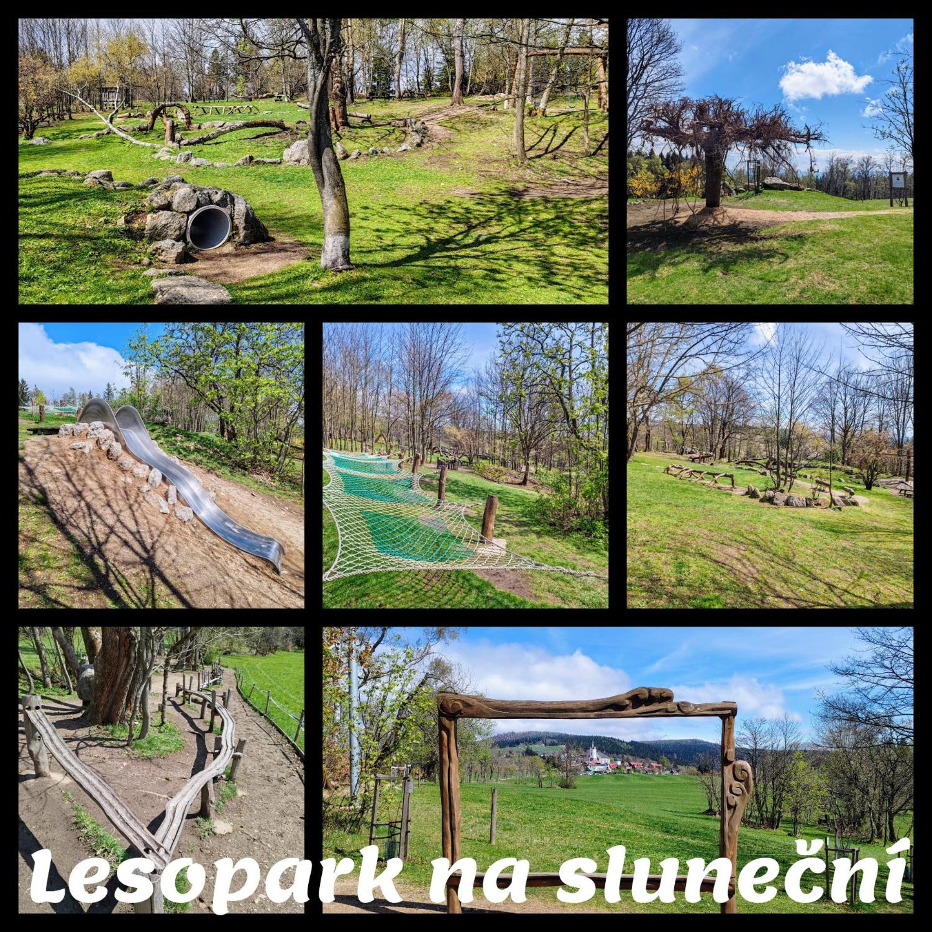 Apartman Kunst Kořenov Zewnętrze zdjęcie